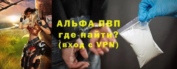 стафф Зеленокумск