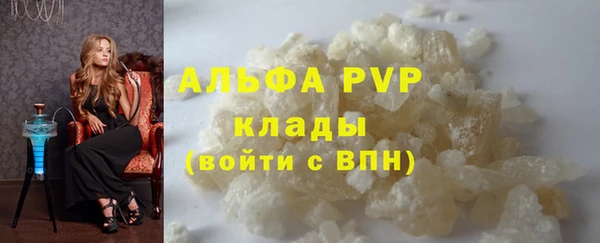 стафф Зеленокумск