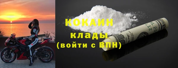 прущие грибы Зеленодольск