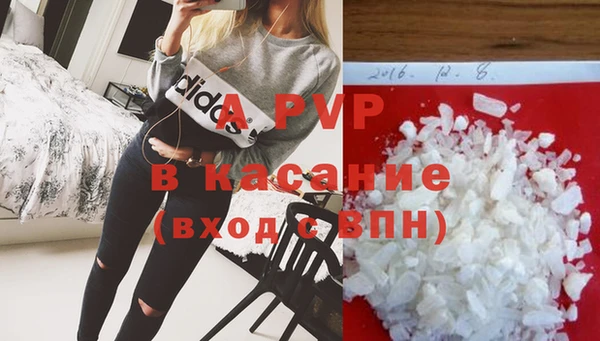 прущие грибы Зеленодольск