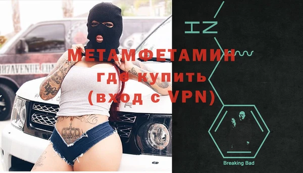 прущие грибы Зеленодольск