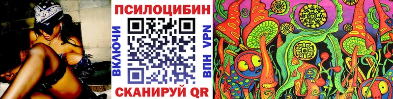 Купить  Ревда  Галлюциногенные грибы Psilocybe 